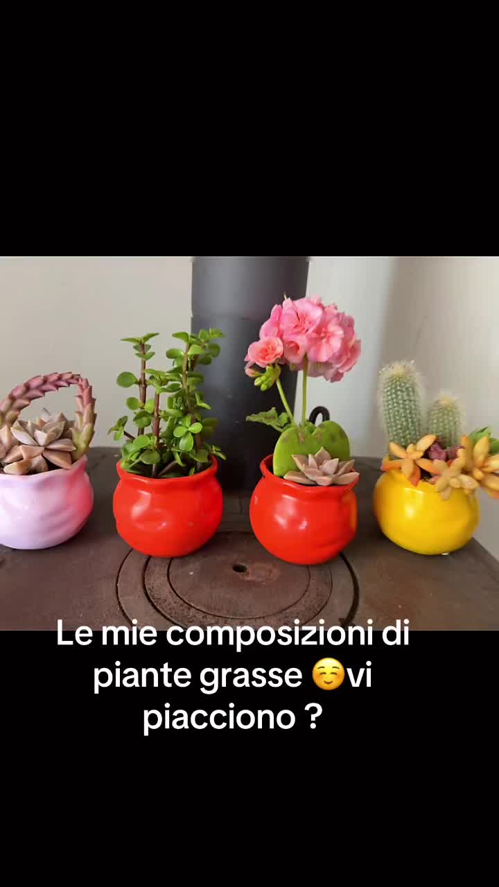 @Lo Strasso