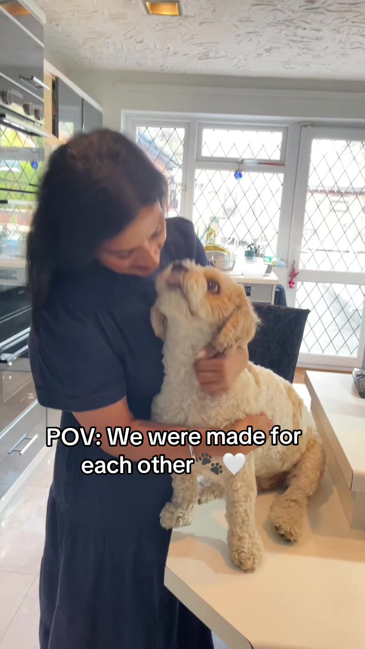 @My Cavachon
