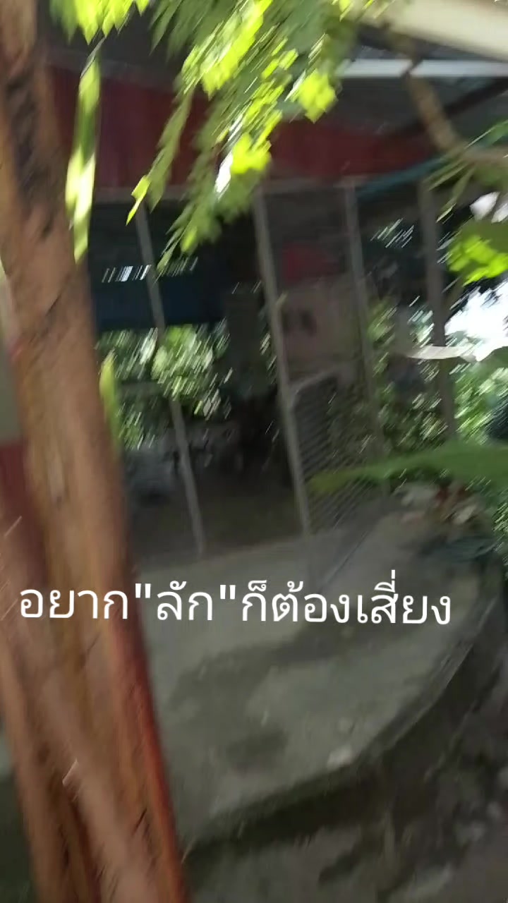 @Phasika