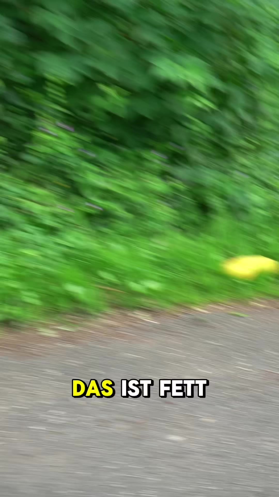 @Dirgam Önal-Abnehmexperte