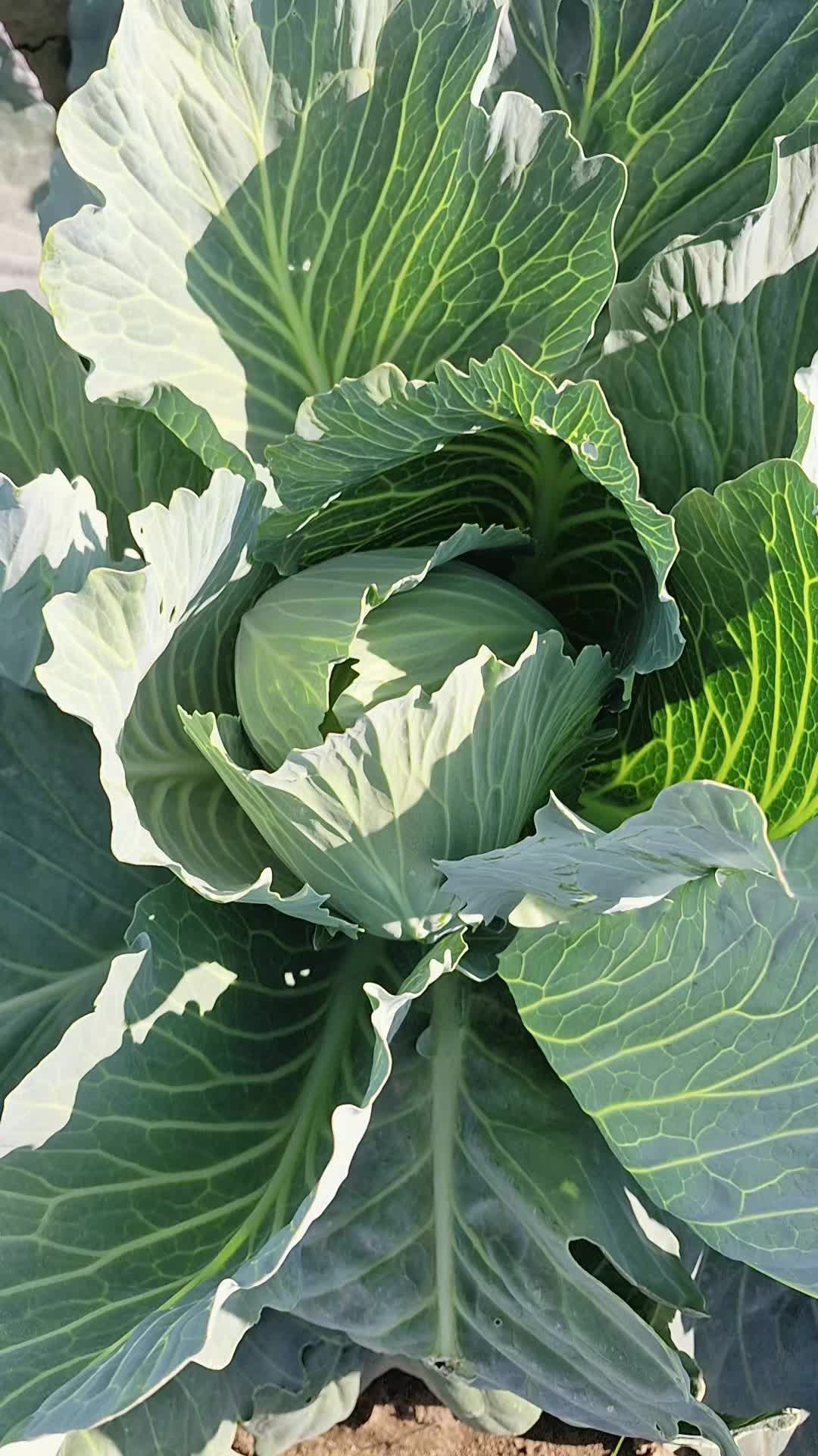 @Юська💙💛