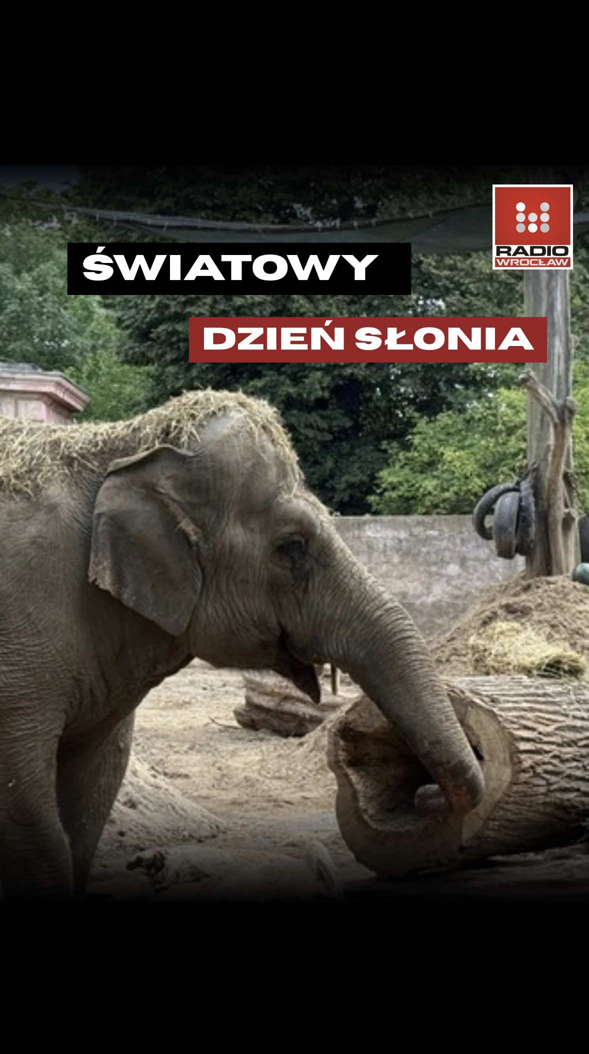 @Radio z Dolnego Śląska