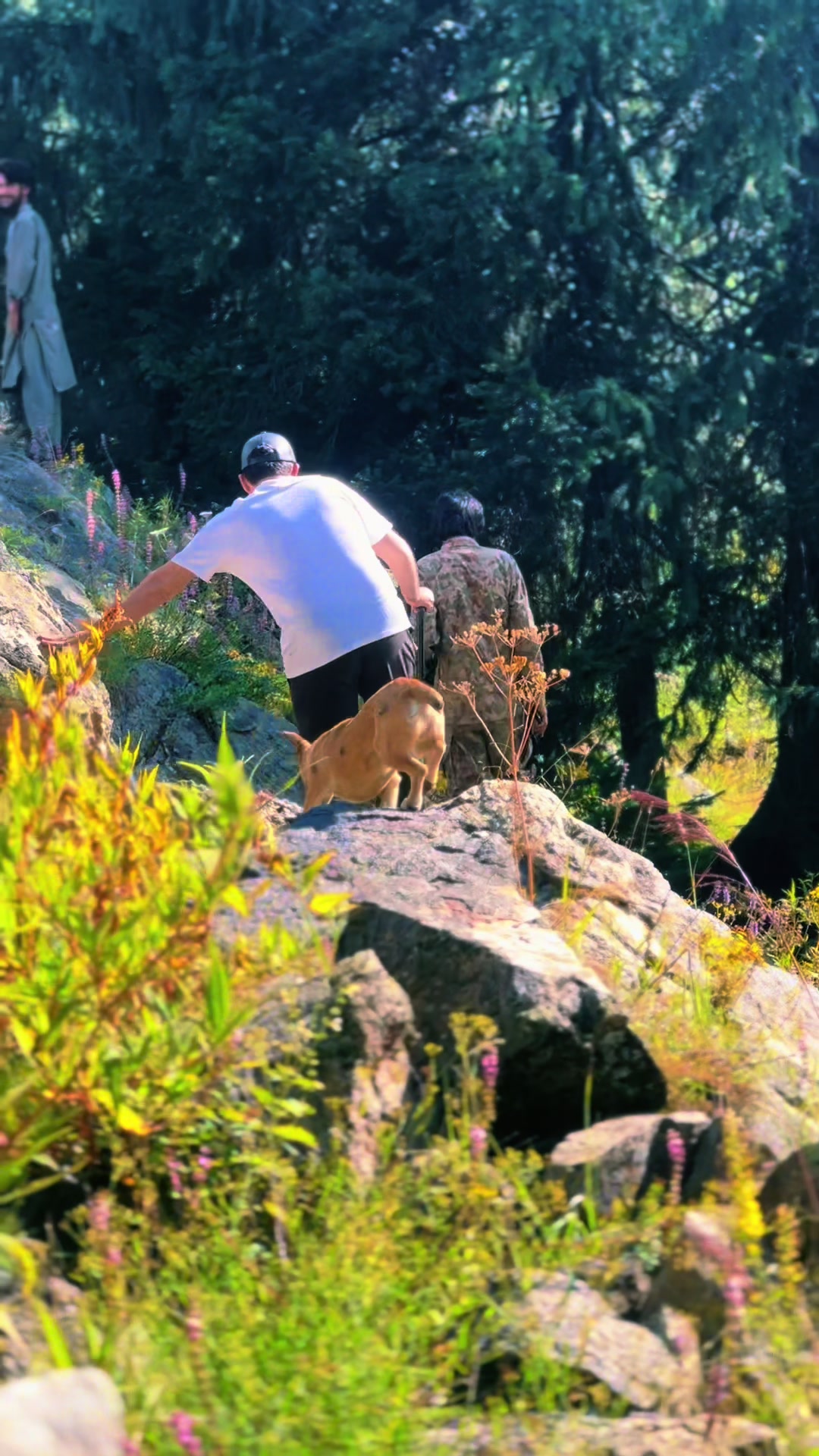 @𝑴𝒐𝒖𝒏𝒕𝒂𝒊𝒏 𝑺𝒐𝒖𝒍⛰️