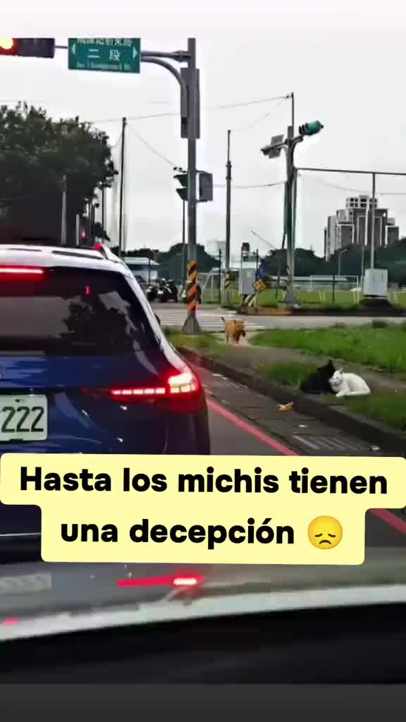 @Ruanger_motivacion