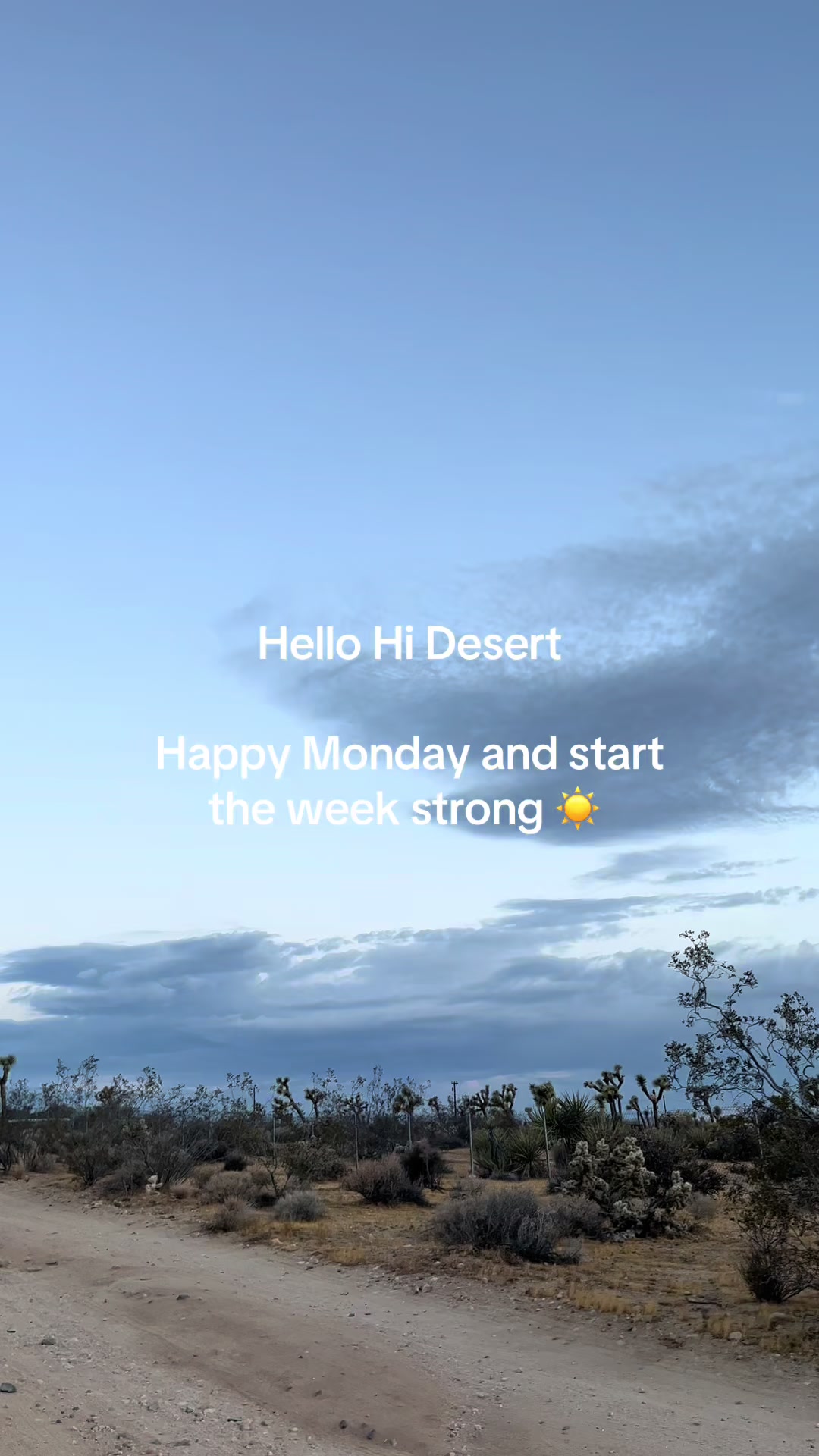 @Hi Desert Dandi 🌄