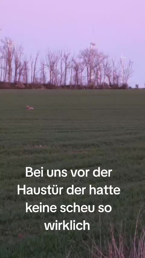 @🐾Bullytrulla🐶