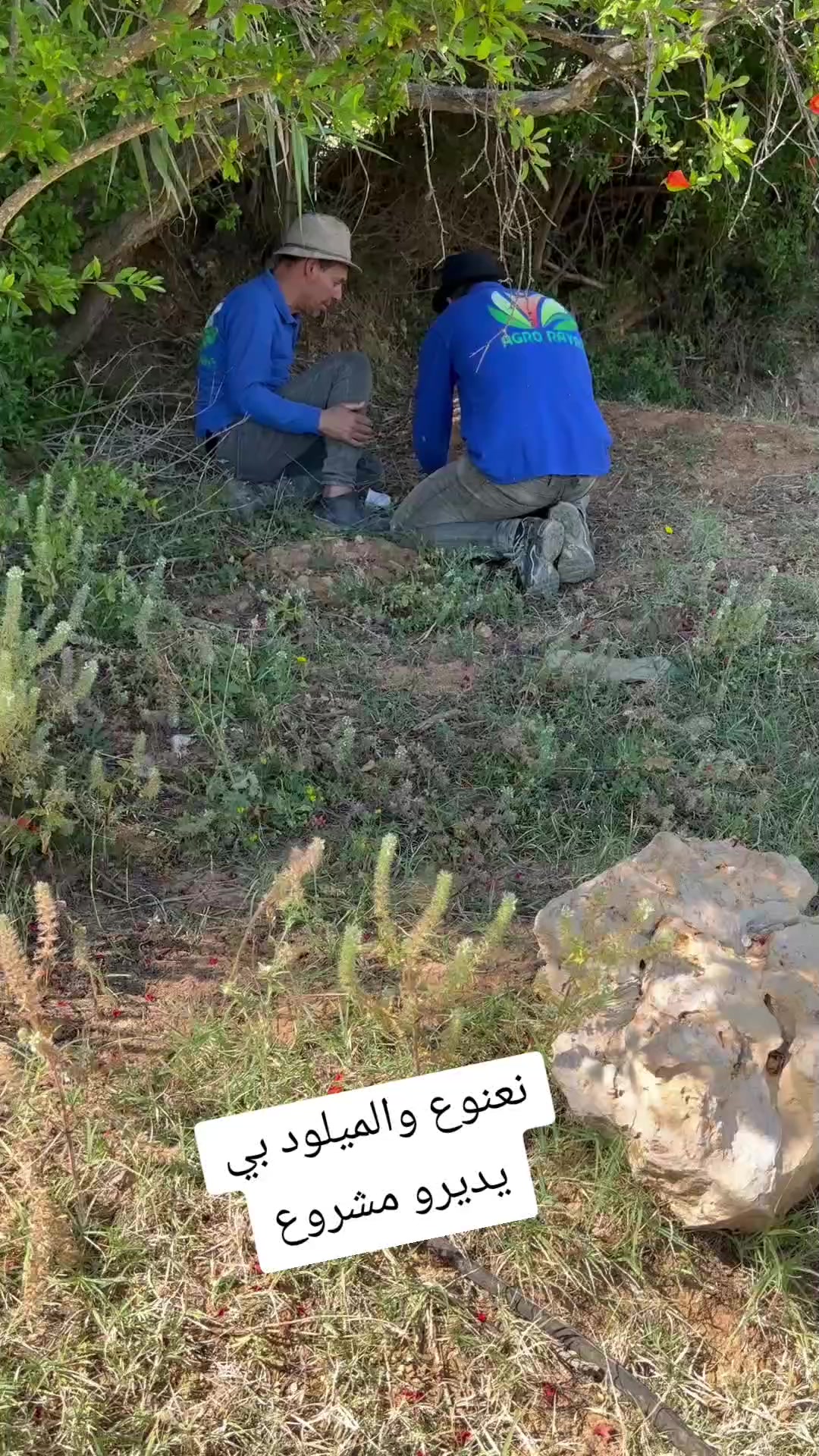 @الحاج نعنوع