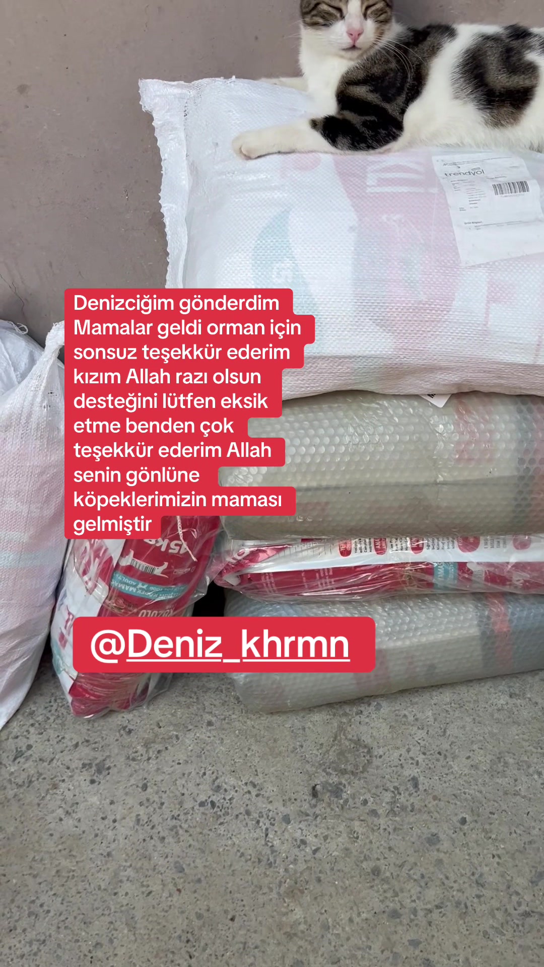 @Gönülünpatileri