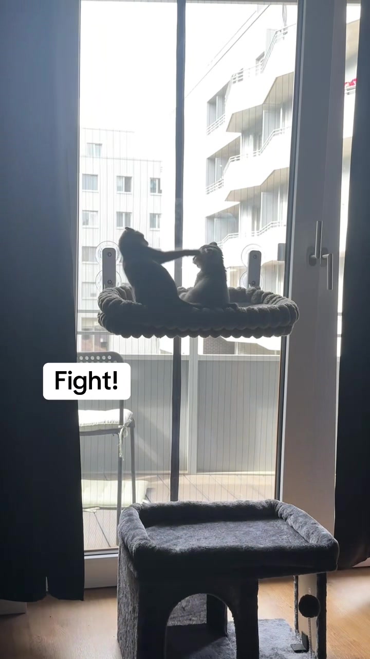 @Divaurteilt