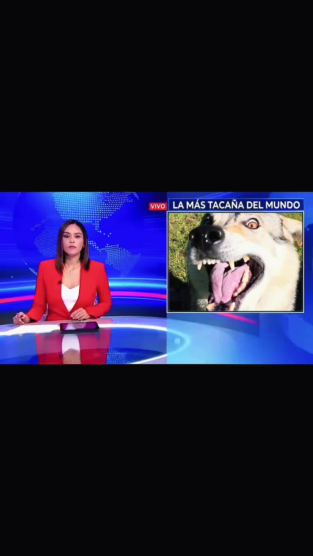 @Walking Wolf