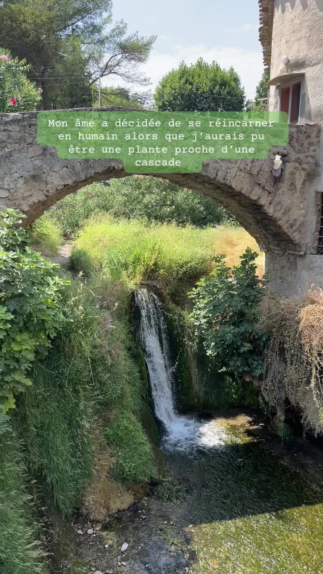 @Lyd’île de la Réunion 🇷🇪