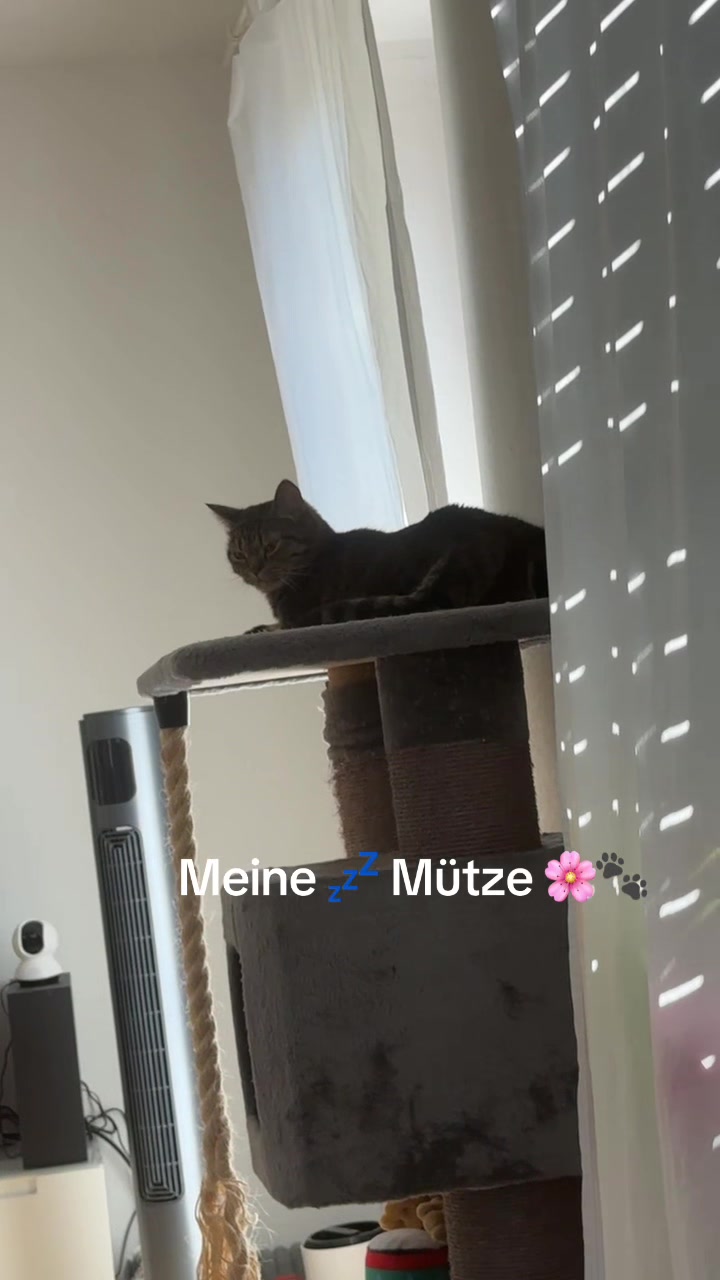 @🐾MILKAM🖤WHISKEYM🩶🐾A❤️🫂