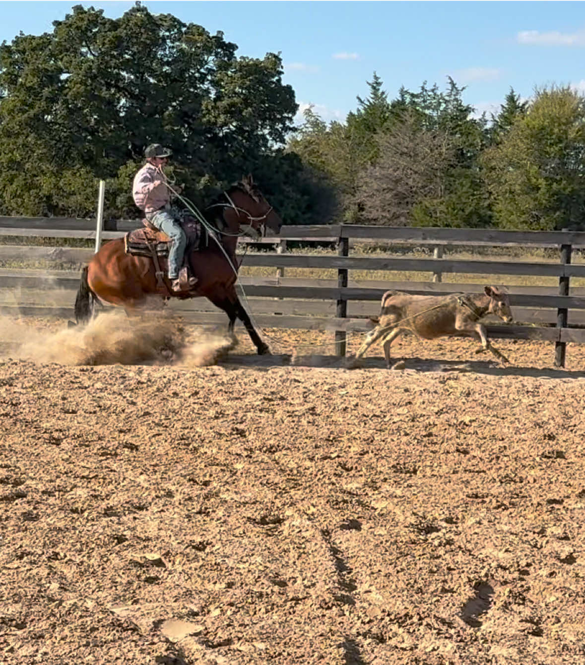 @HD Performance Horses