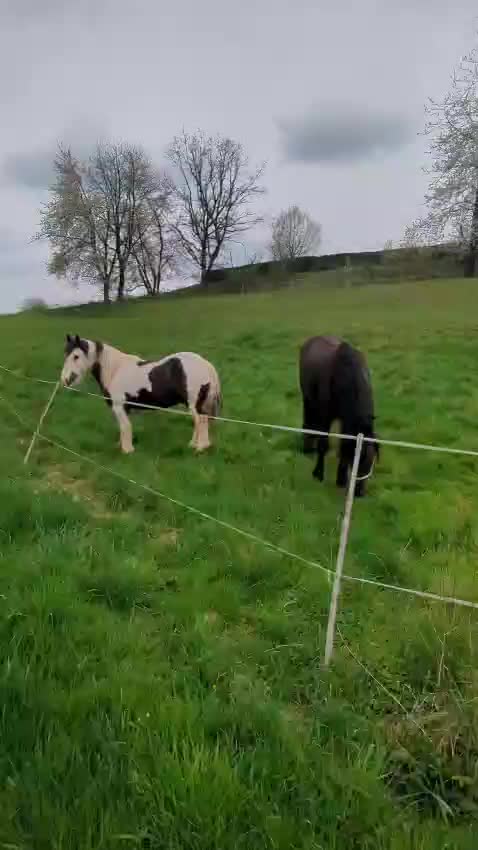 @ypjflb
