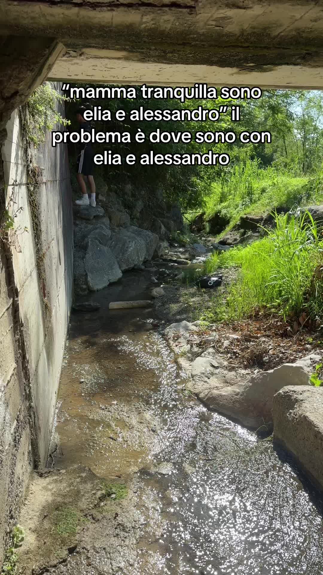 @spamm.beaa12