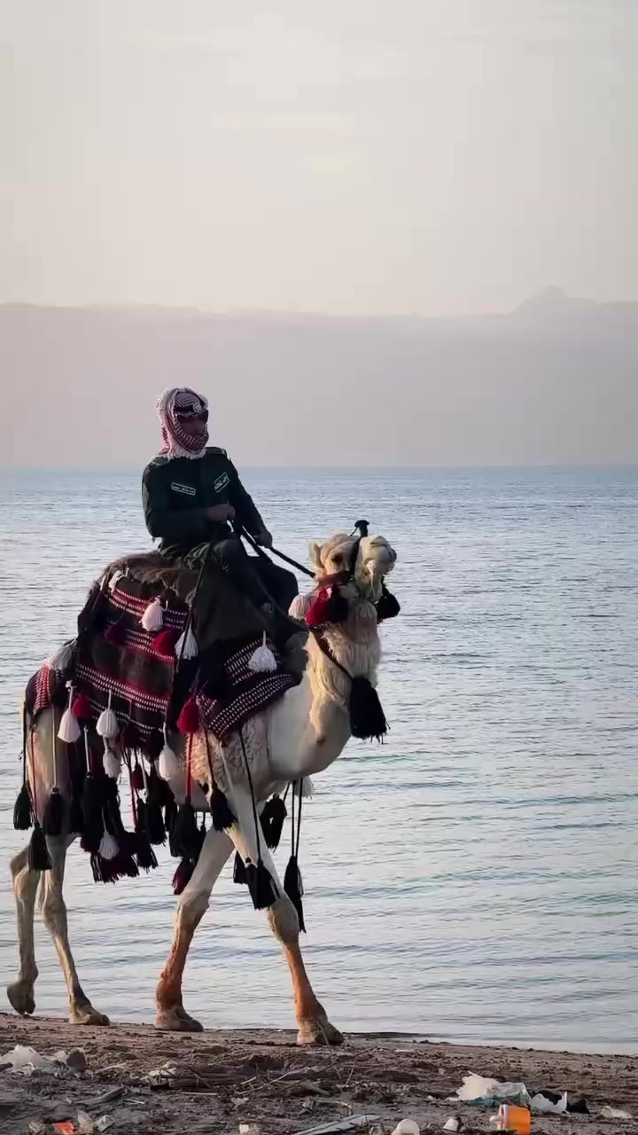 @fawzi Petra🇯🇴