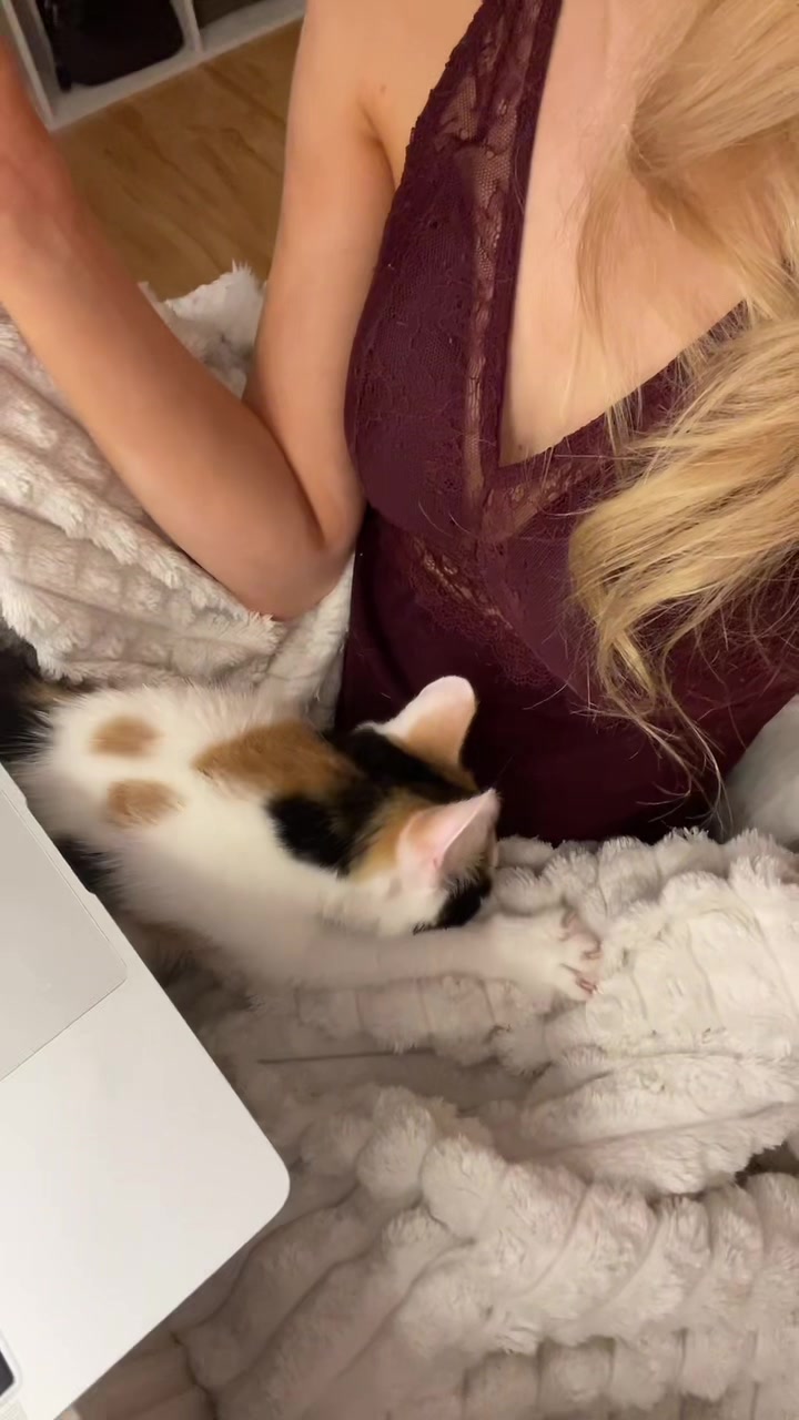 @Vicrossie🪽