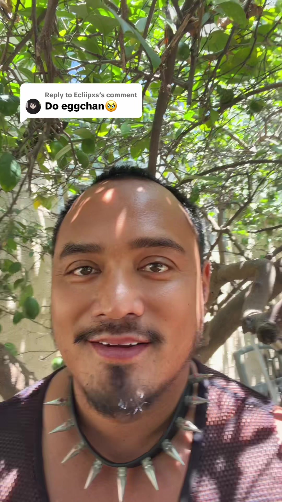 @birthdayking.vice45