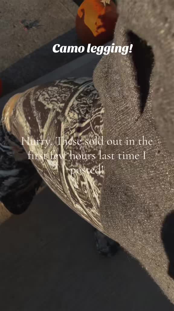 @Lilwolf