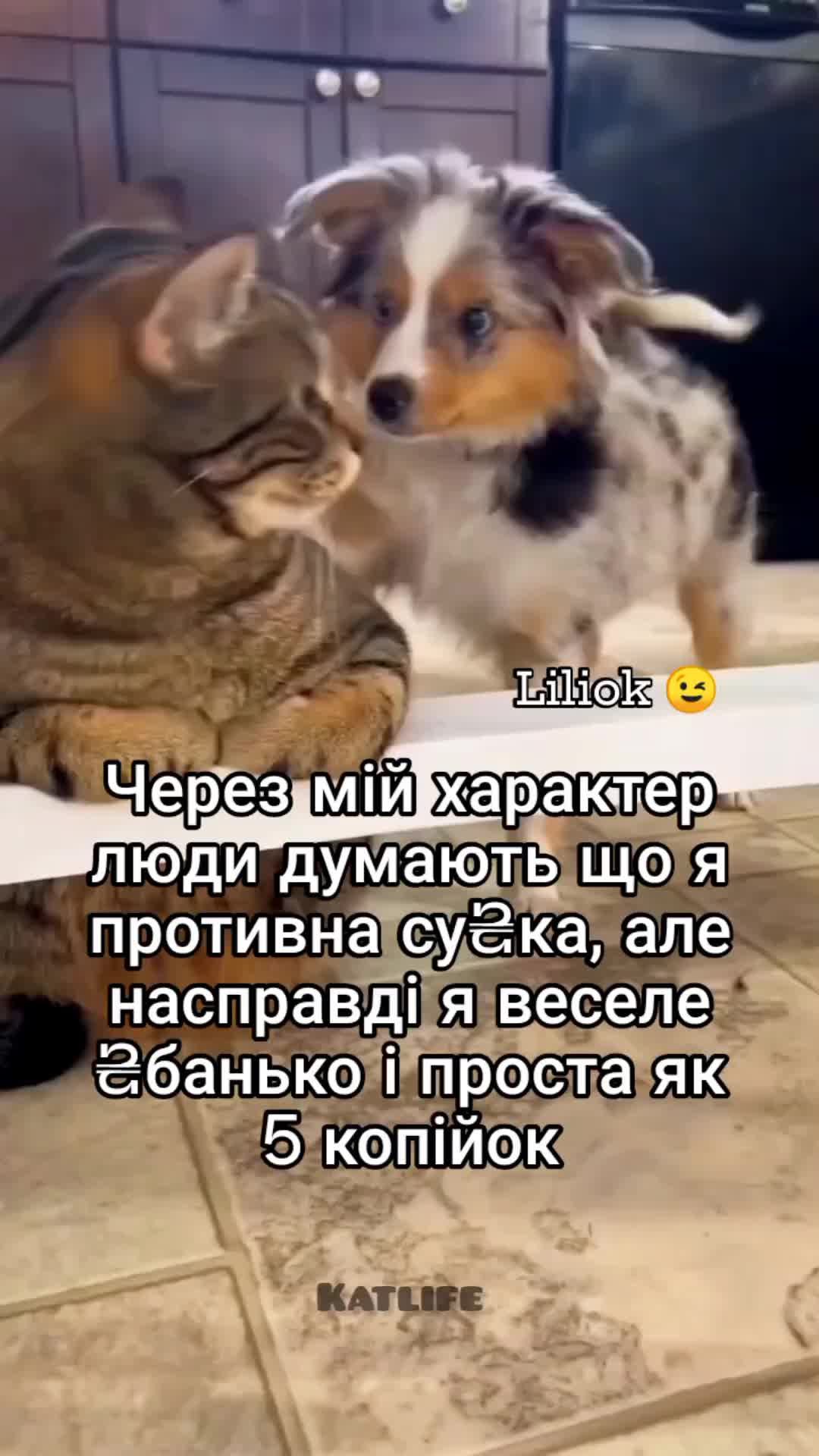 @🎀Liliok🎀
