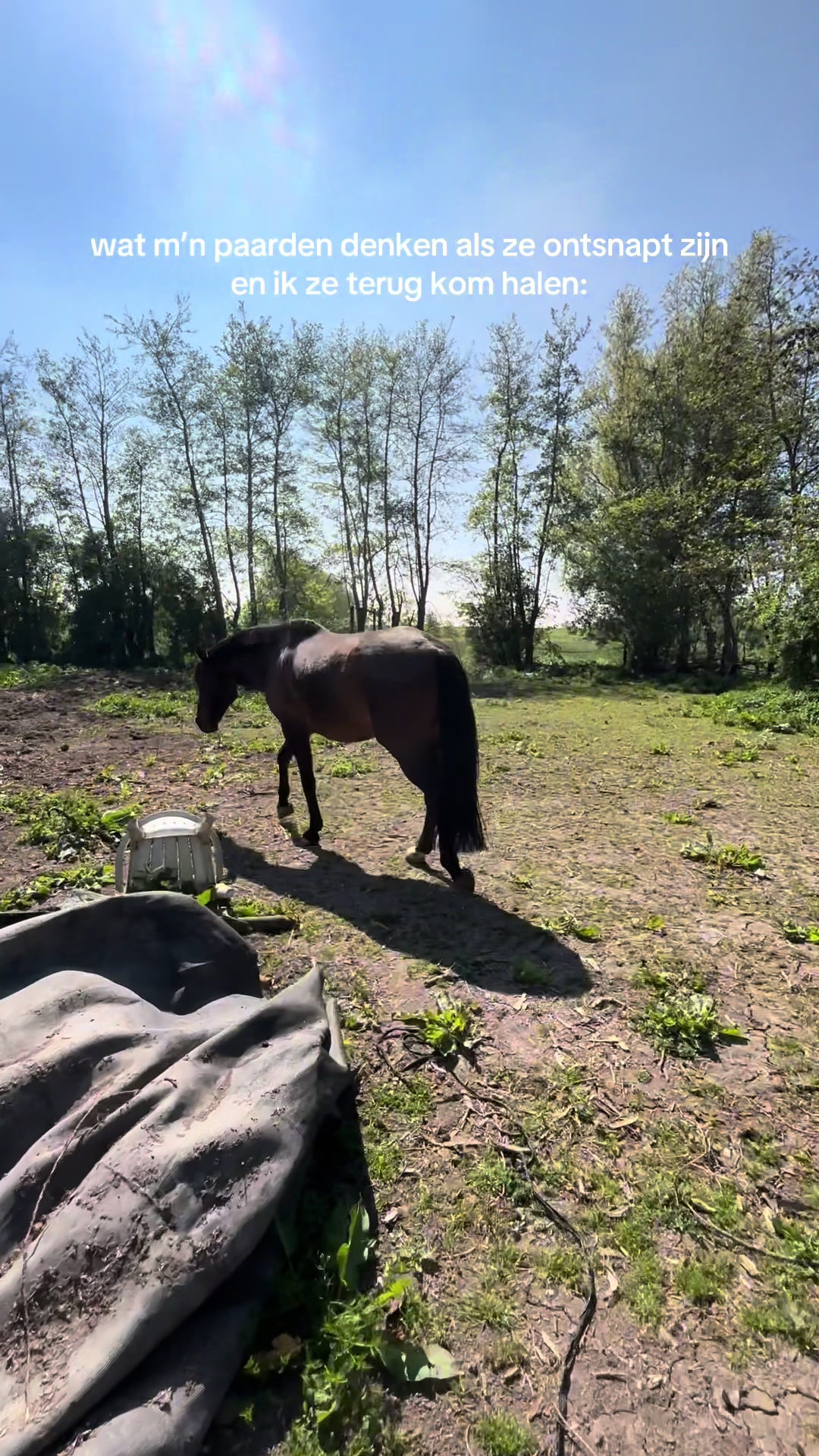 @dovda.horsemanship