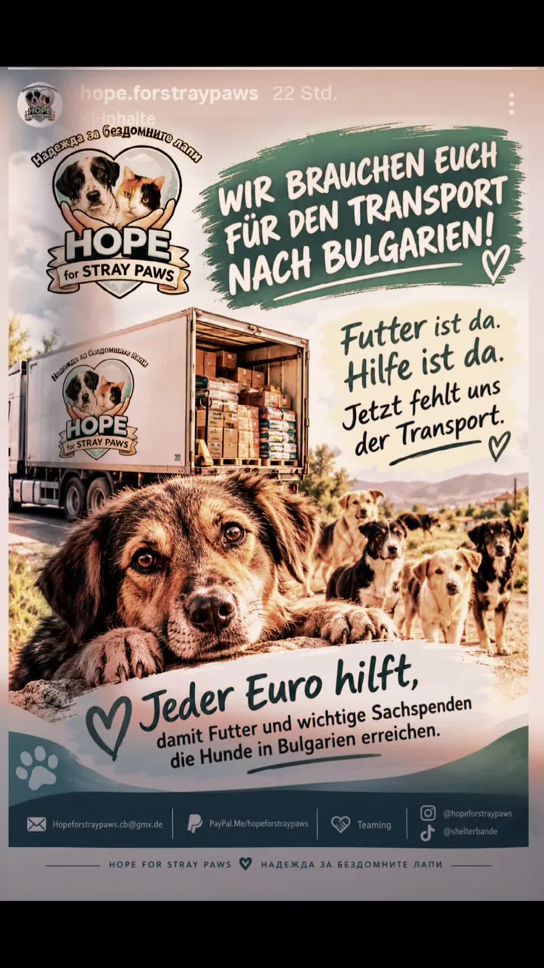 @ShelterBande