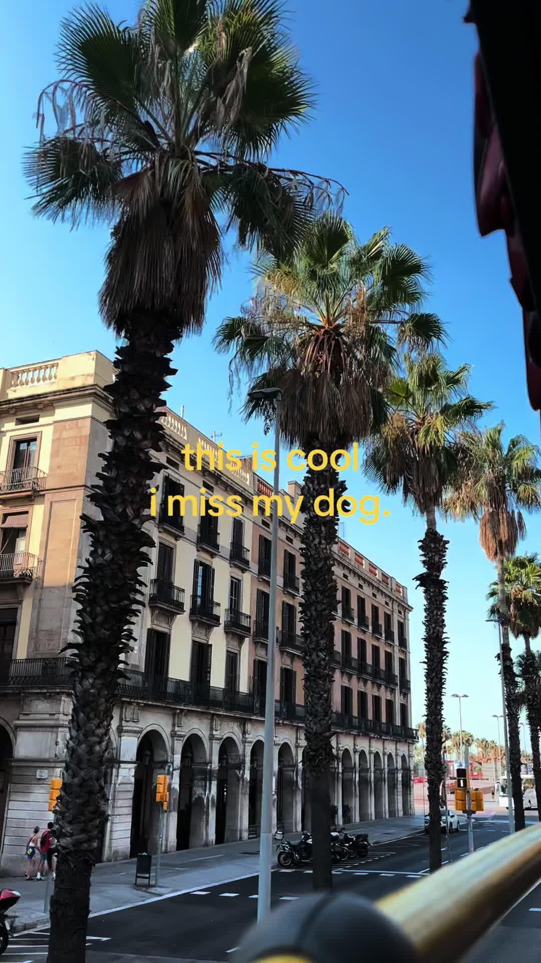 @Secret 🧌