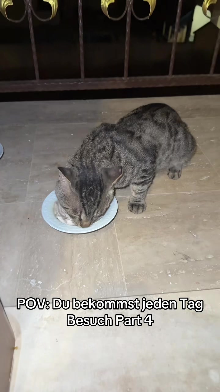 @๐ฒ๐๐๐๐๐๐๐๐๐๐๐๐๐
