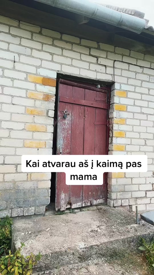 @🇱🇹Ewa🇬🇧