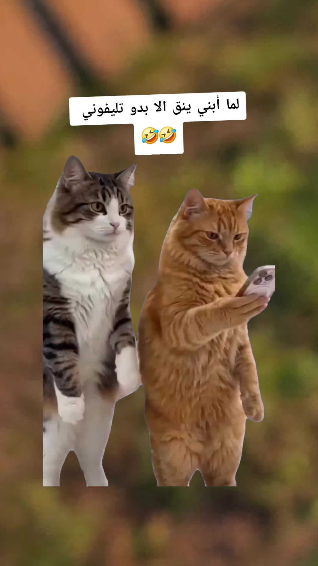 @Widadoo