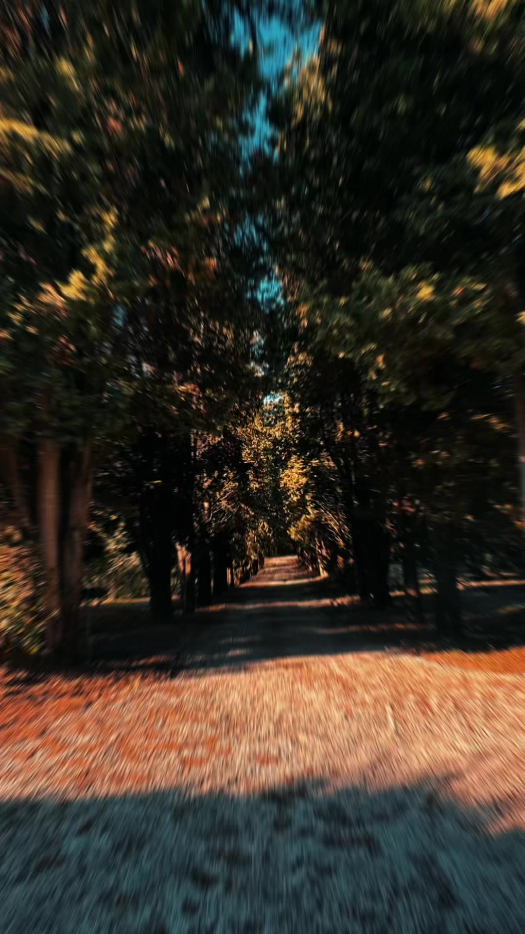 @Stefano.B