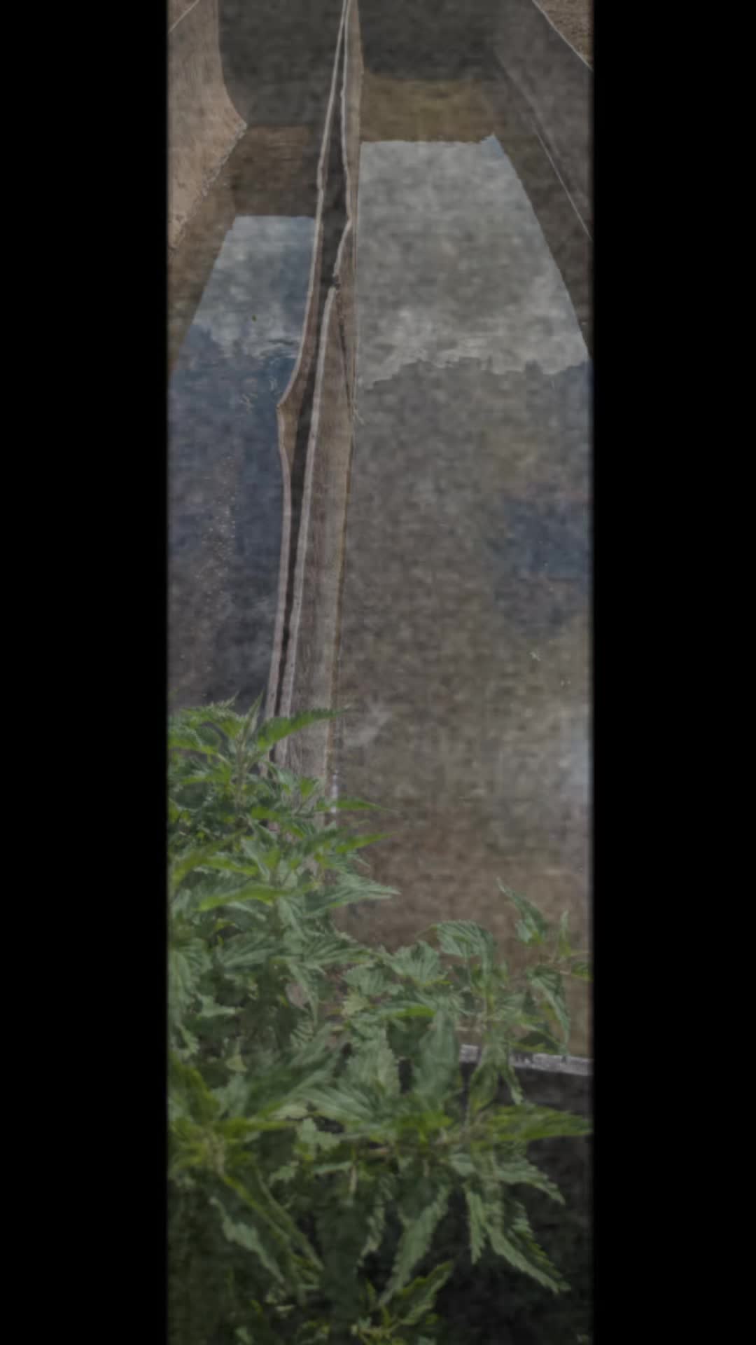 @Error *666*