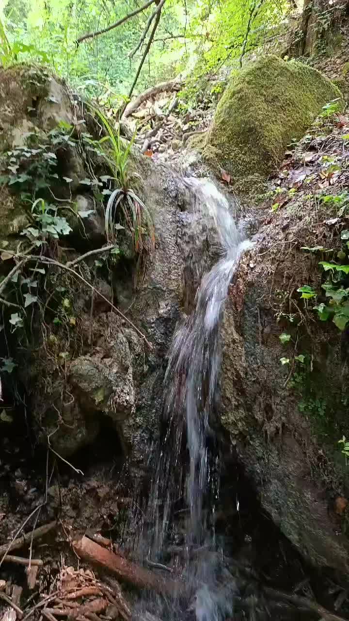 @Battista Fortunato