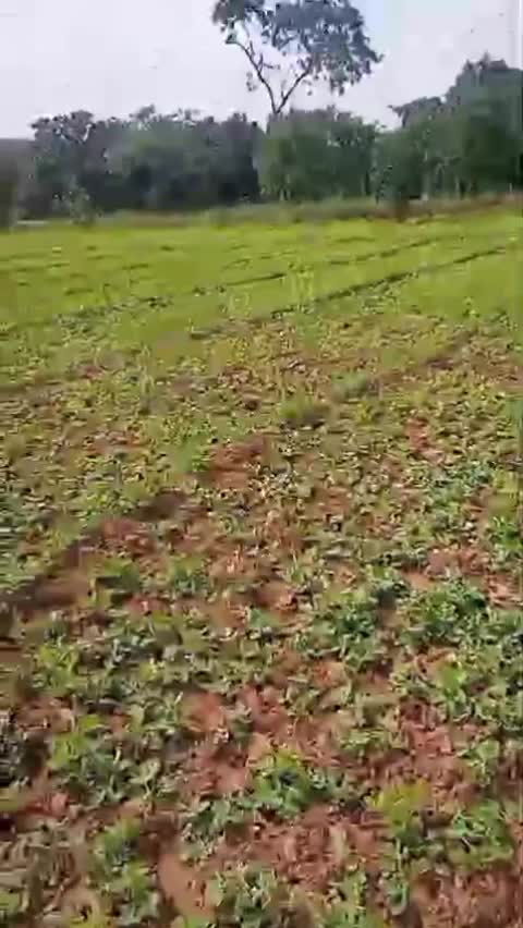 @Maruthupandi Pandi