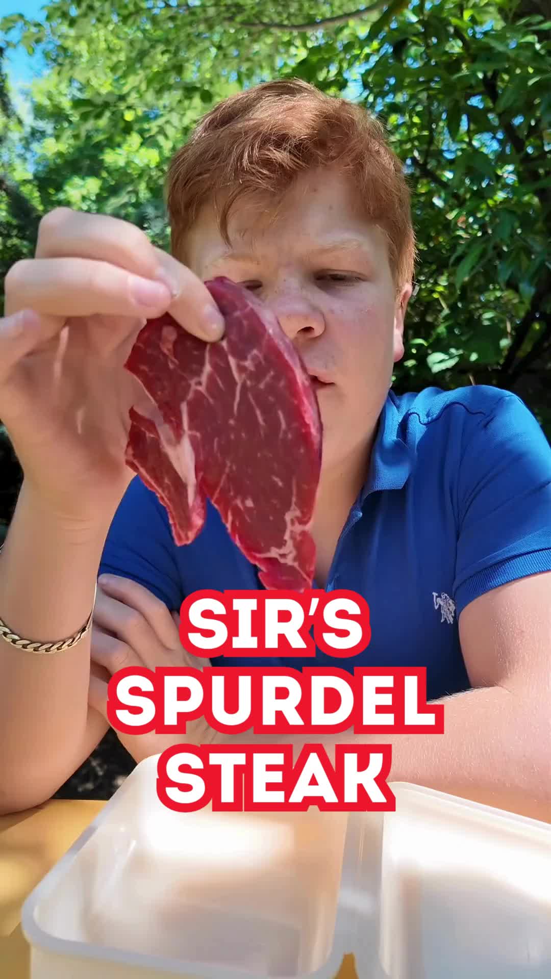 @Official Sir Meier