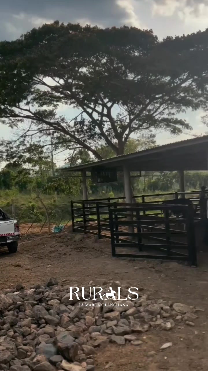 @La nueva esencia 🔱