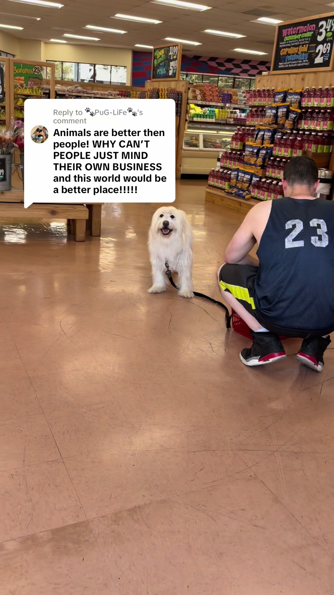 @Dogs aren’t Family