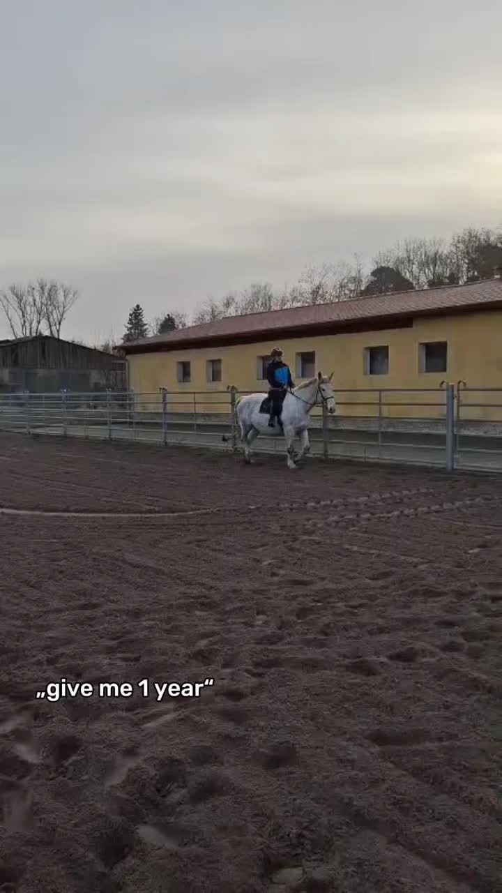 @Horses 🫶🌺