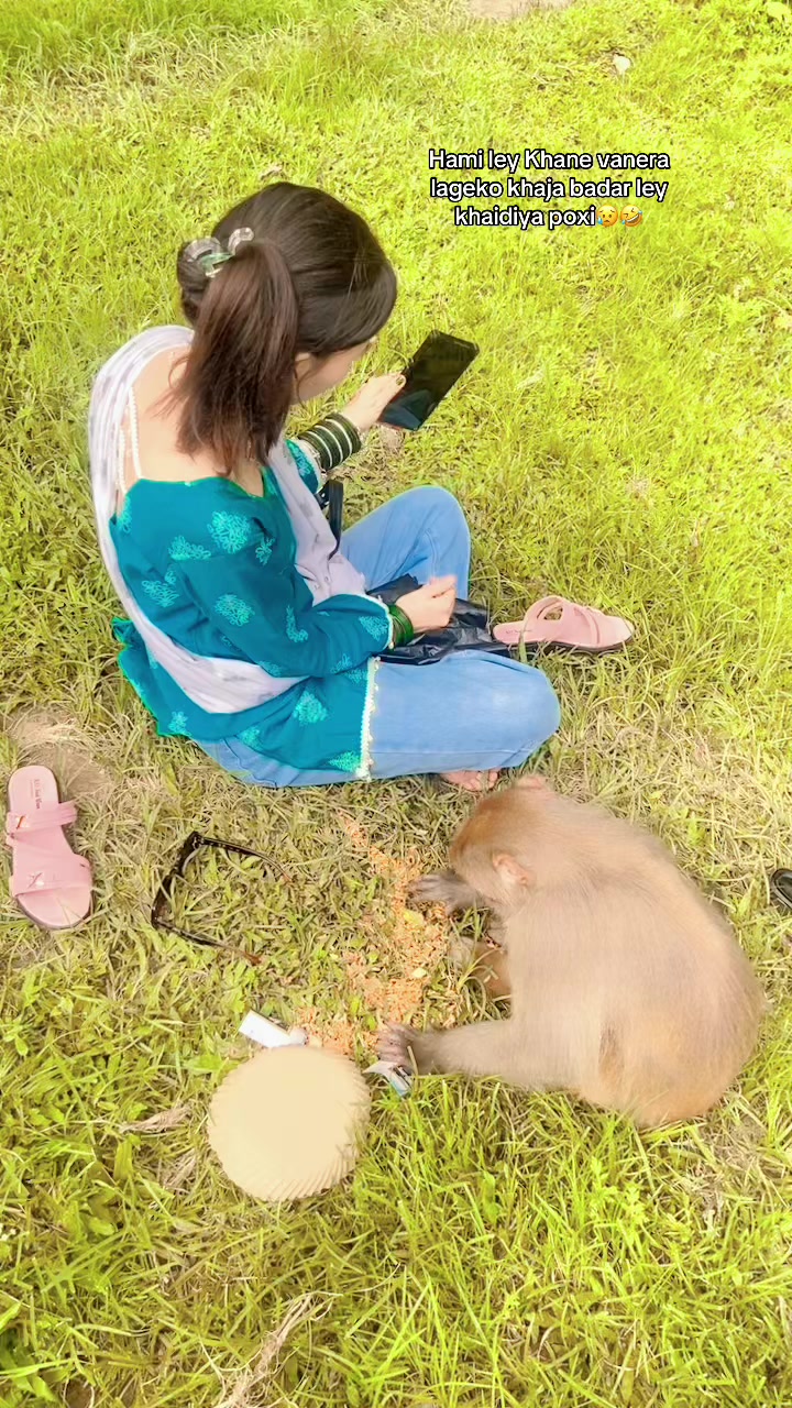 @Laxmi☘️🕊❤️&zwj;🩹
