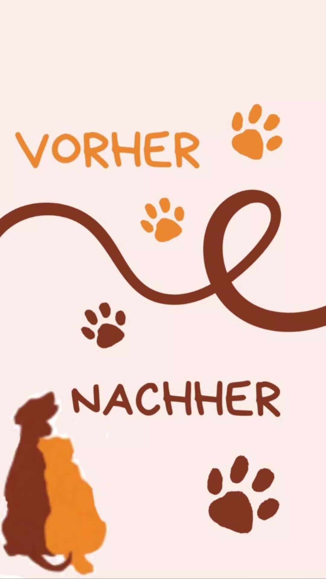 @Hundehilfe Bakony e.V.