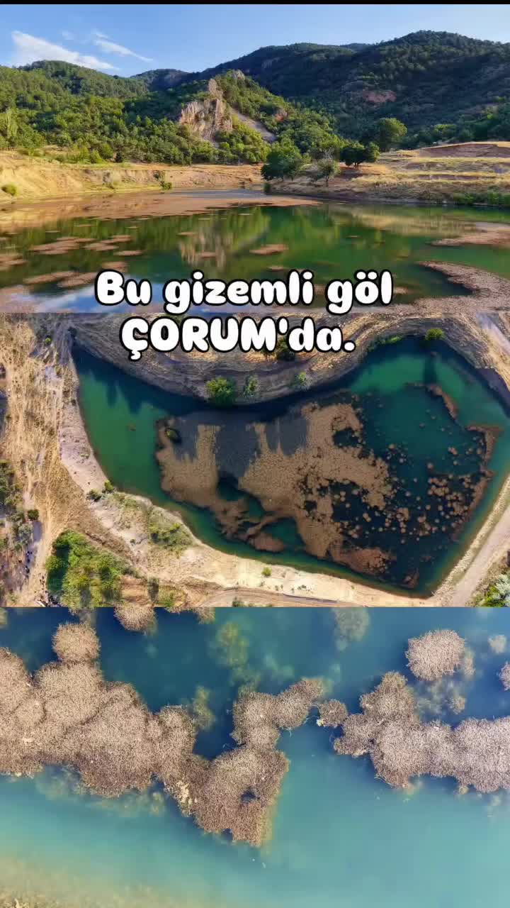 @Avrupadaki_Corumlular_19