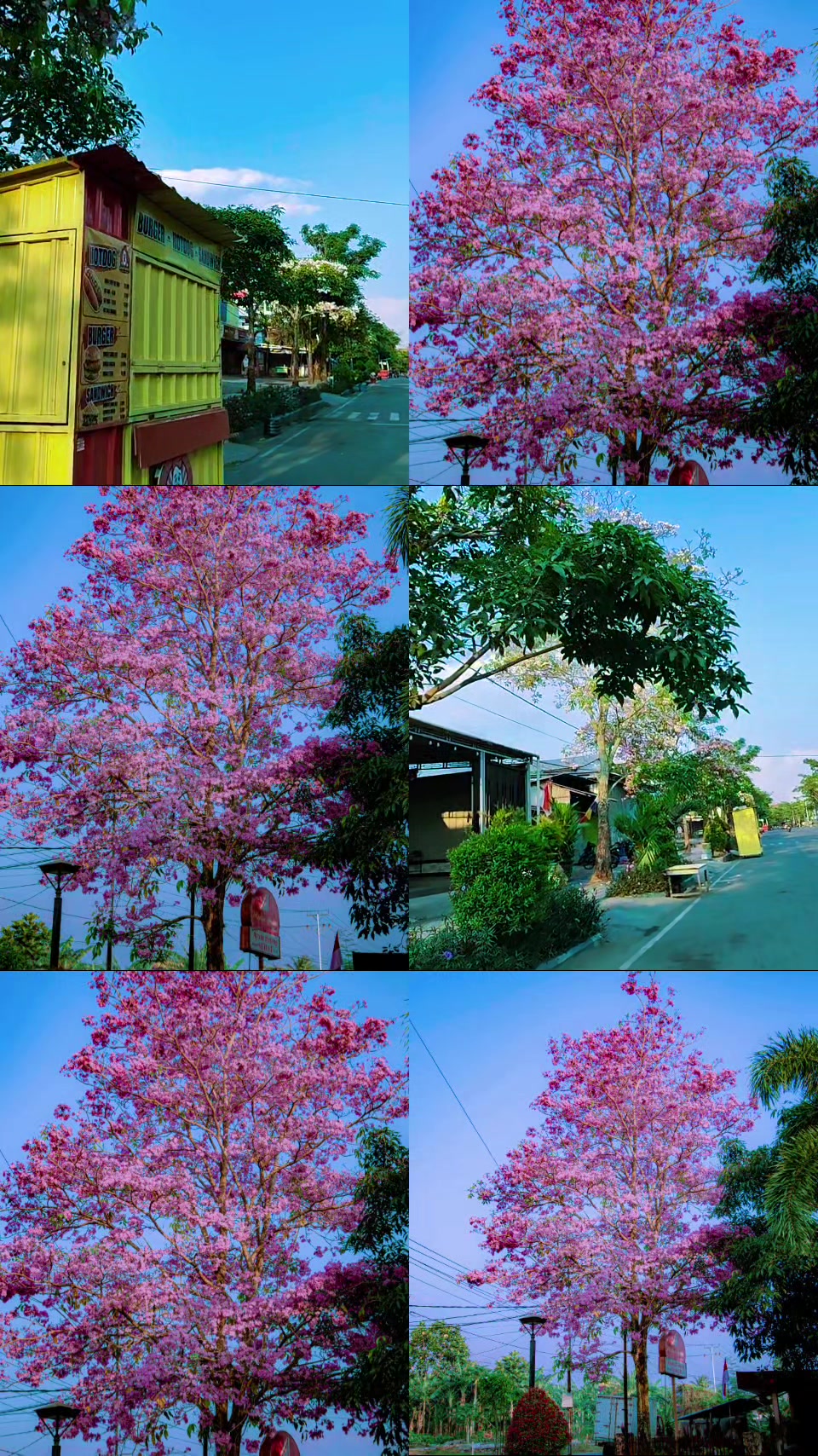 @Zha Bacco88