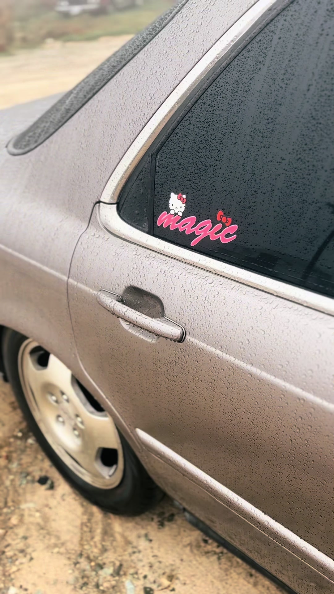 @Catt &trade;