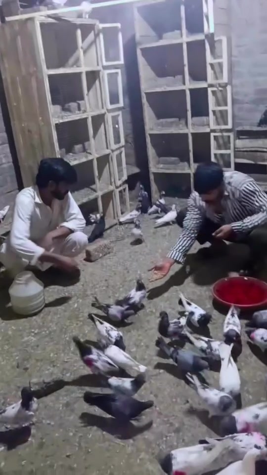 @🇵🇰ارسلان ساھی🇸🇦