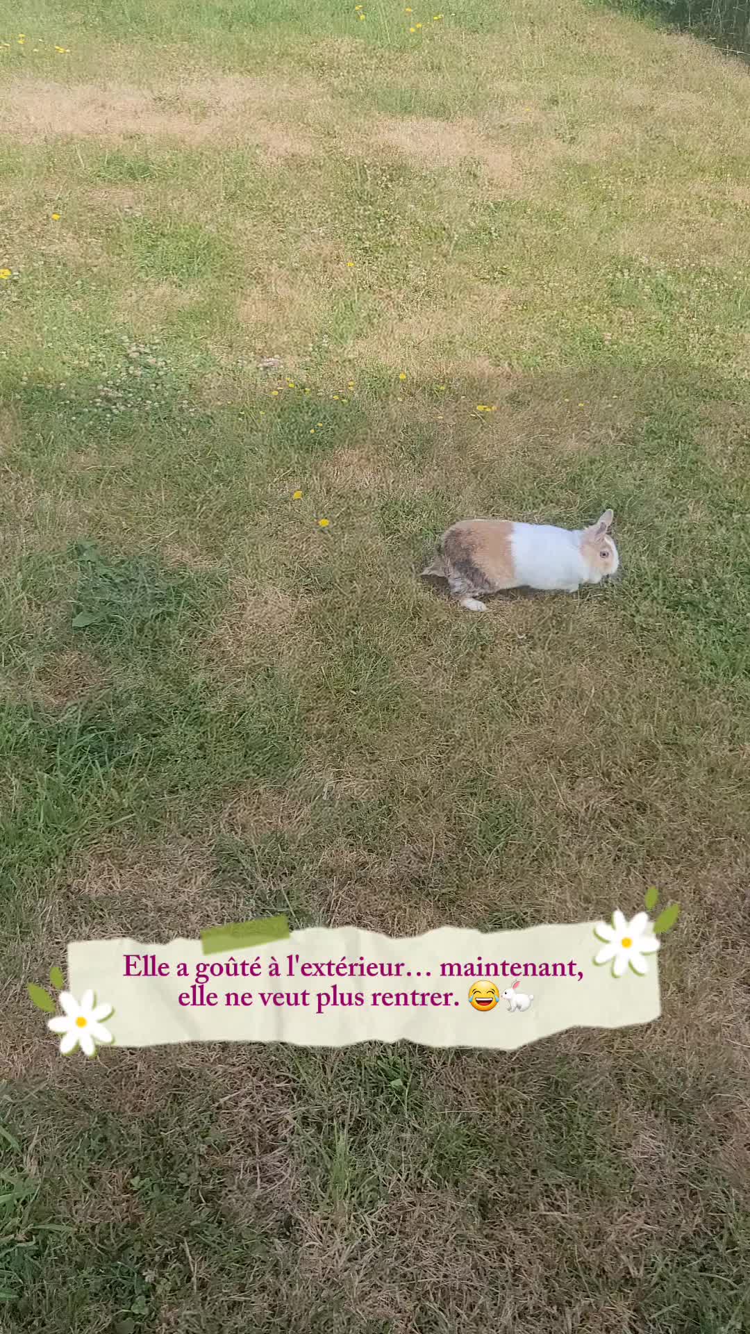 @Brunix