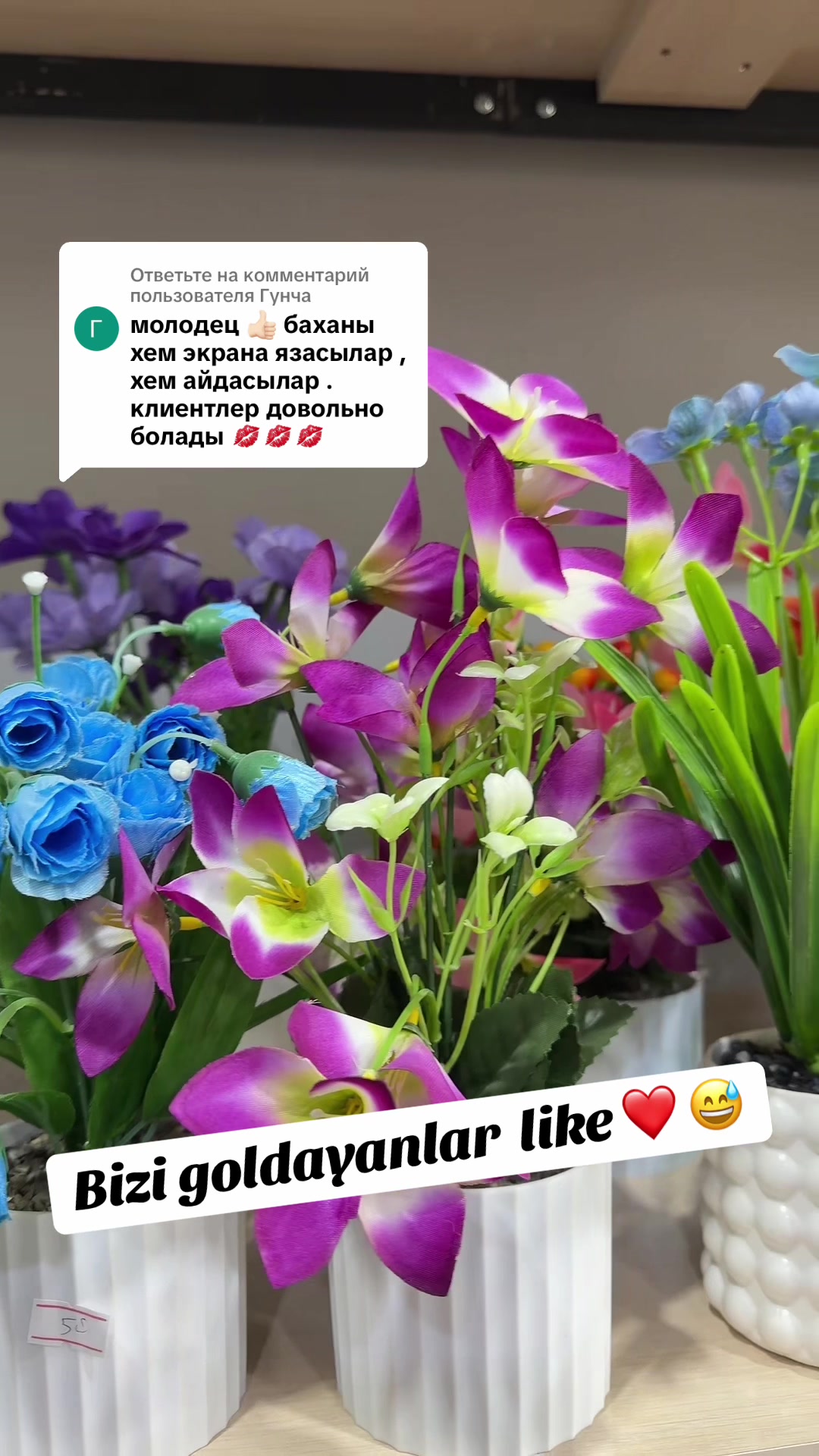 @lebap_belent_home