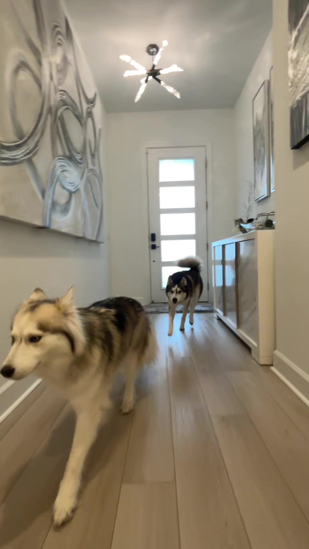 @lifewith2huskies
