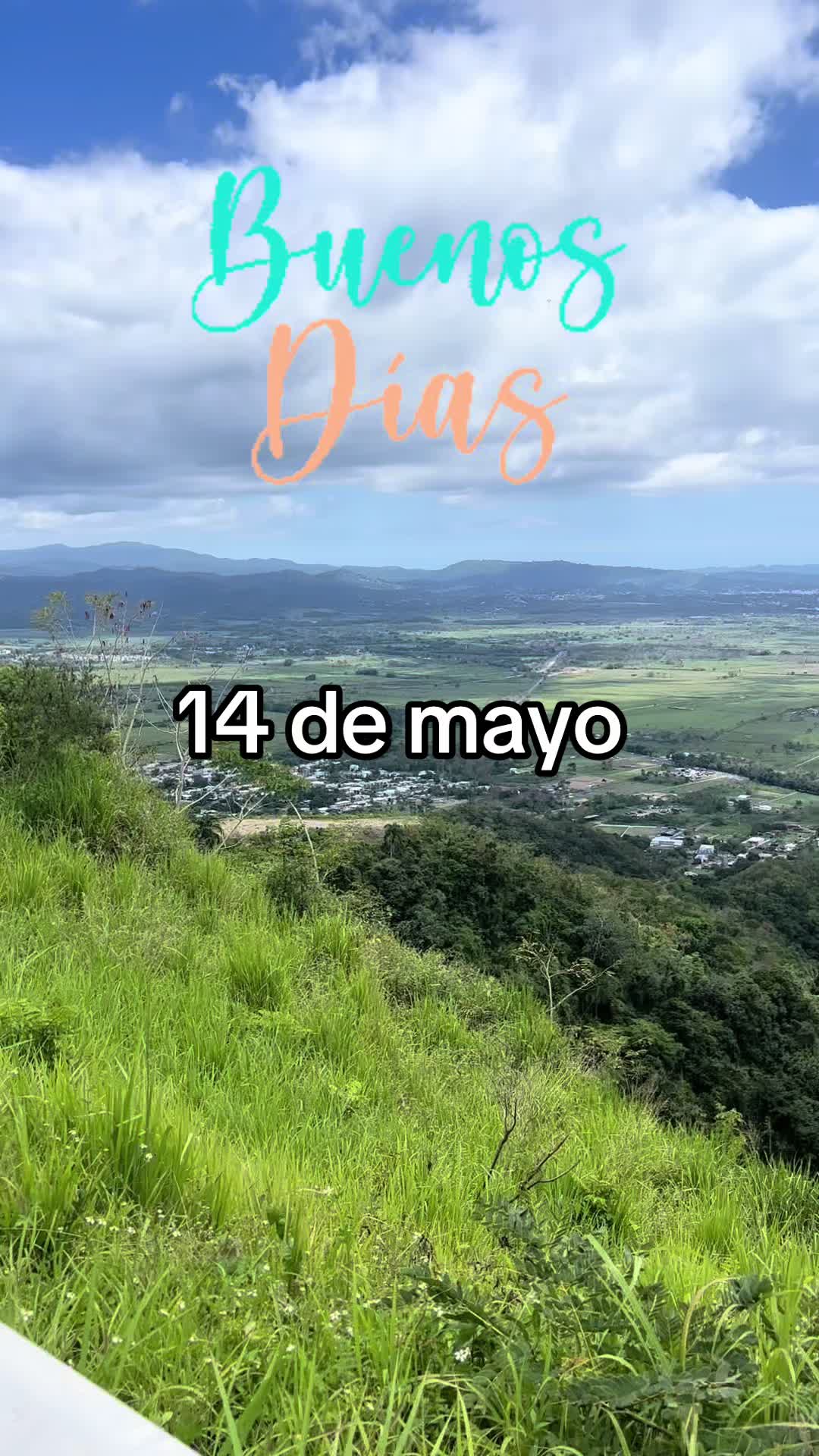 @8luisplaza8