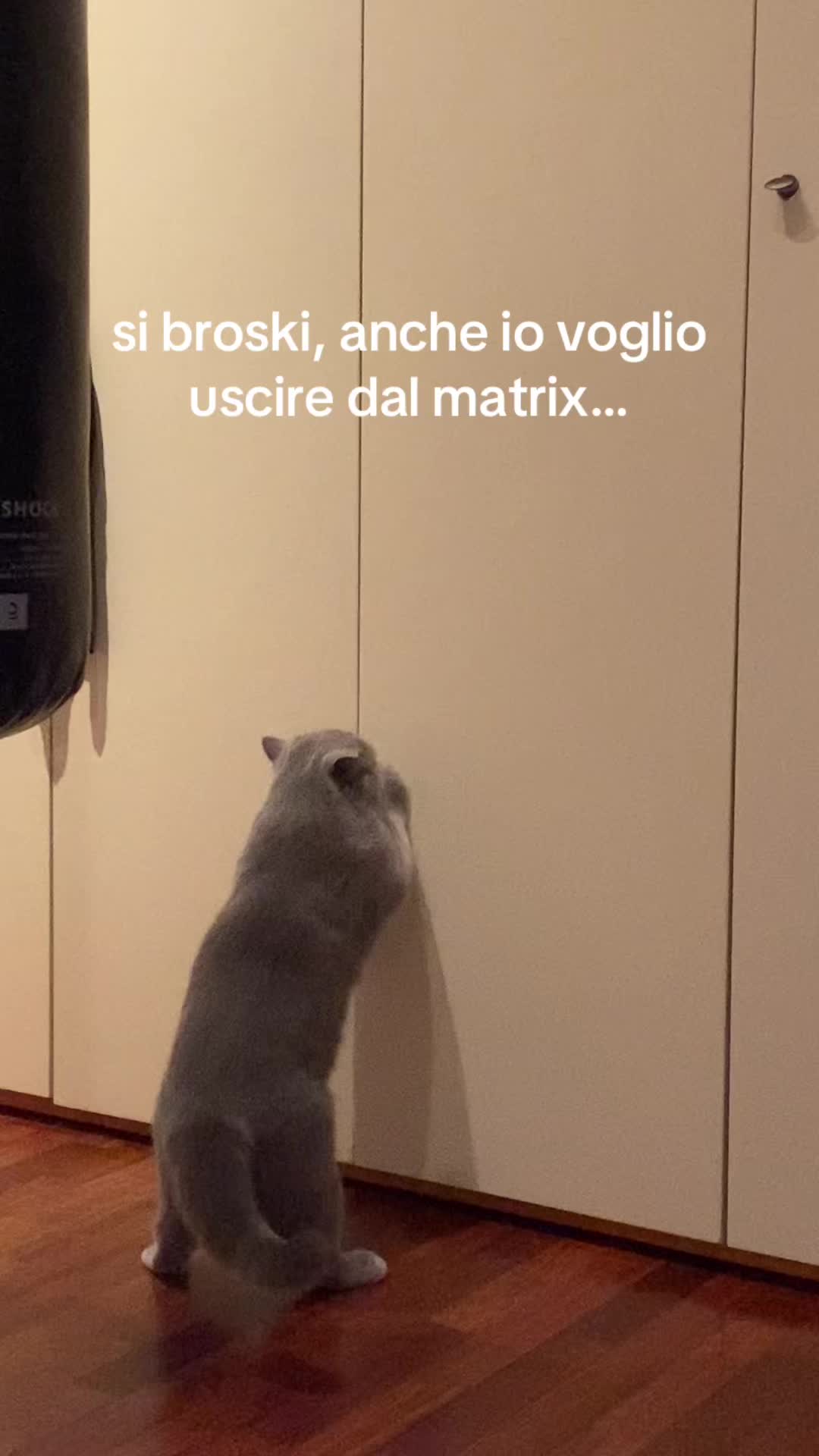 @enrica🍂
