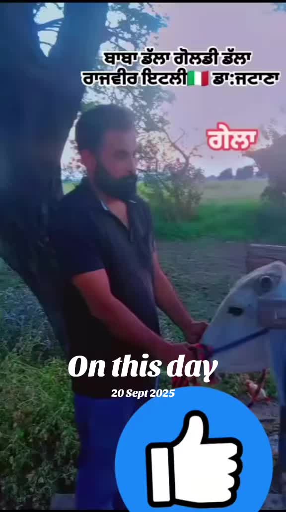 @Sonymavi84